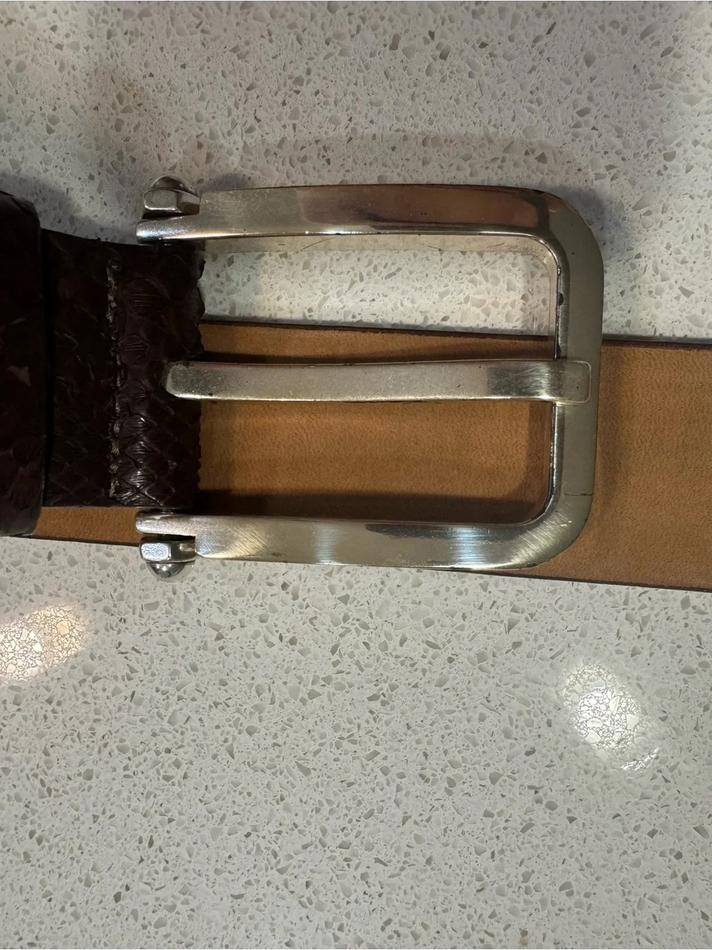 W. Kleinberg Genuine Python‎ Snakeskin Belt Brown Silver Buckle